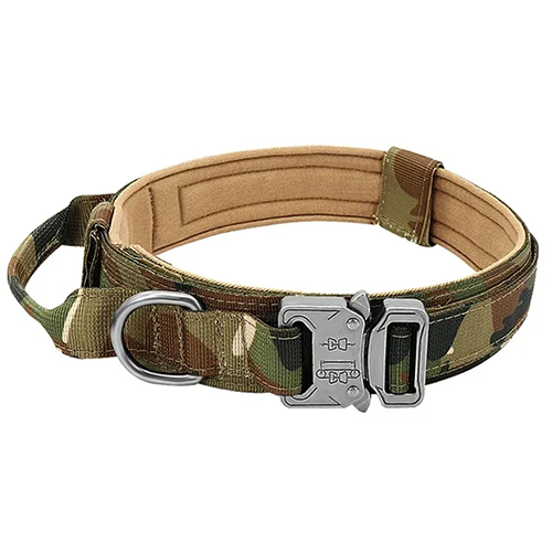 Collar for Large Dog-Zarado.uk