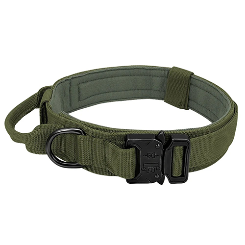 Collar for Large Dog-Zarado.uk