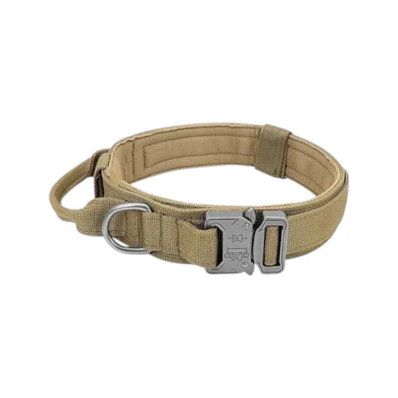 Collar for Large Dog-Zarado.uk