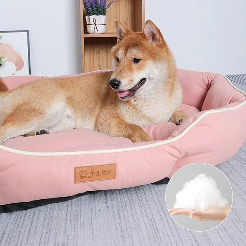 Best Dog Bed-Zarado.uk