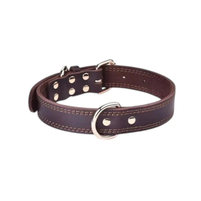 Genuine Leather Dog Collar-Zarado.uk