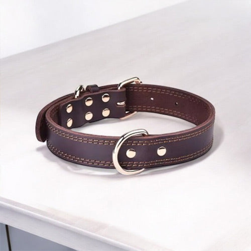 Genuine Leather Dog Collar-Zarado.uk
