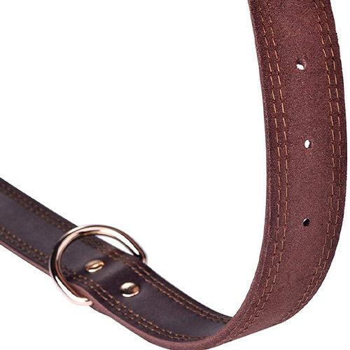 Genuine Leather Dog Collar-Zarado.uk
