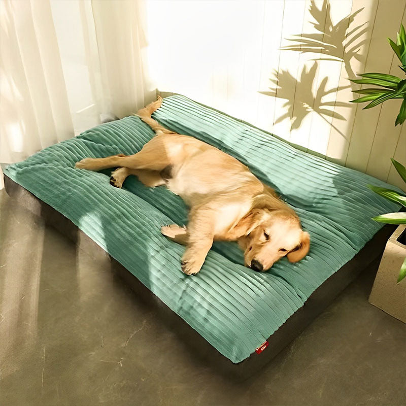 Removable XXL Dog Cushion - Orthopedic-Zarado.uk